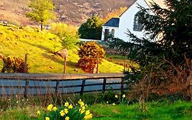 Donegal Cottage